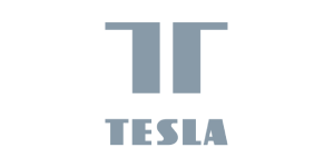 Tesla Smart