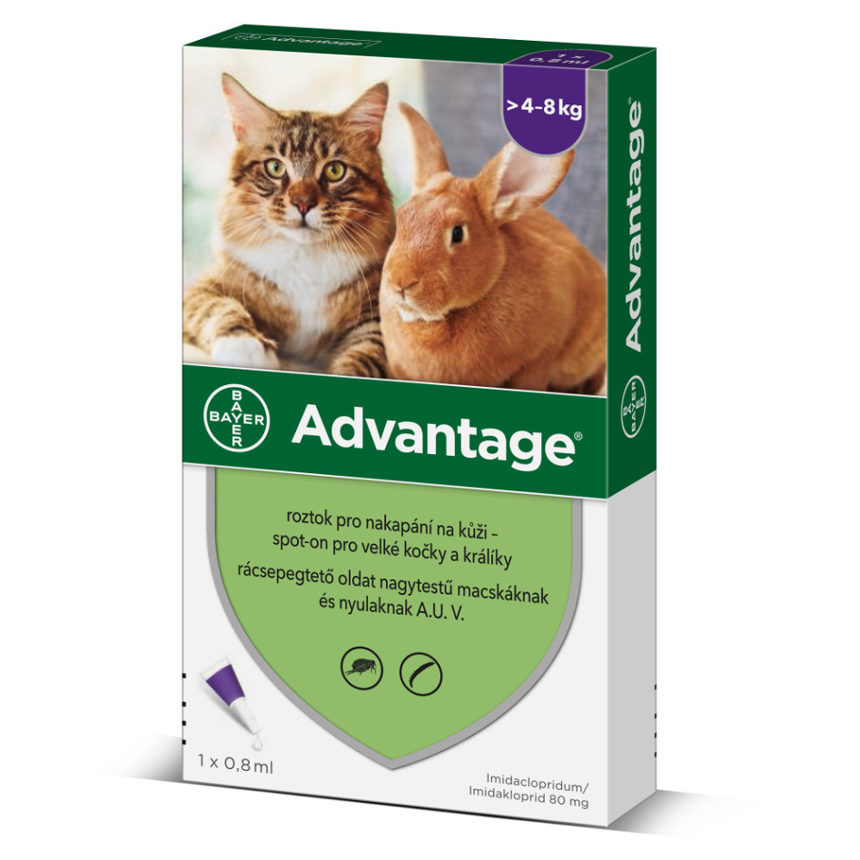 ADVANTAGE Spot-on 80 mg pro velké kočky a králíky 1 pipeta
