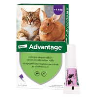 ADVANTAGE Spot-on pro velké kočky a králíky 80 mg 1 pipeta