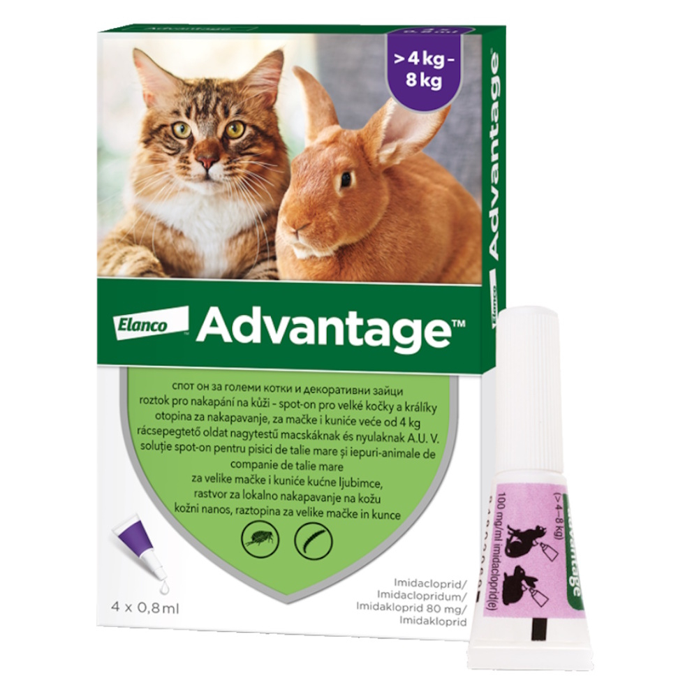 Levně ADVANTAGE Spot-on pro velké kočky a králíky 80 mg 4 pipety