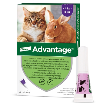 ADVANTAGE Spot-on pro velké kočky a králíky 80 mg 4 pipety (Pipety proti klíšťatům a blechám)