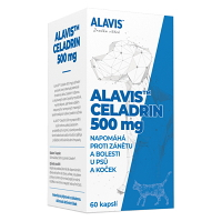 ALAVIS Celadrin 60 tablet