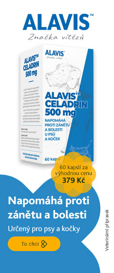 ALAVIS Celadrin 60 tablet