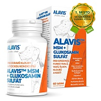 ALAVIS MSM + Glukosamin sulfát 60 tablet