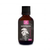 ALLNATURE Echinacea bylinné kapky 50 ml ALLNATURE Echinacea bylinné kapky 50 ml