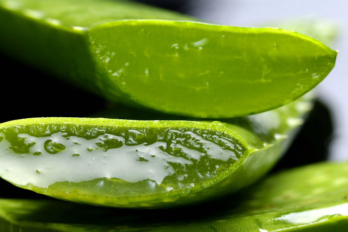 Aloe vera - zelený zázrak pro zdraví i krásu