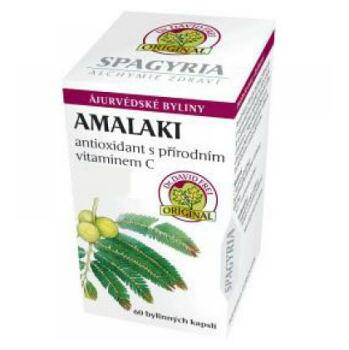 Amalaki - antioxidant přírodní vitamín C cps.60