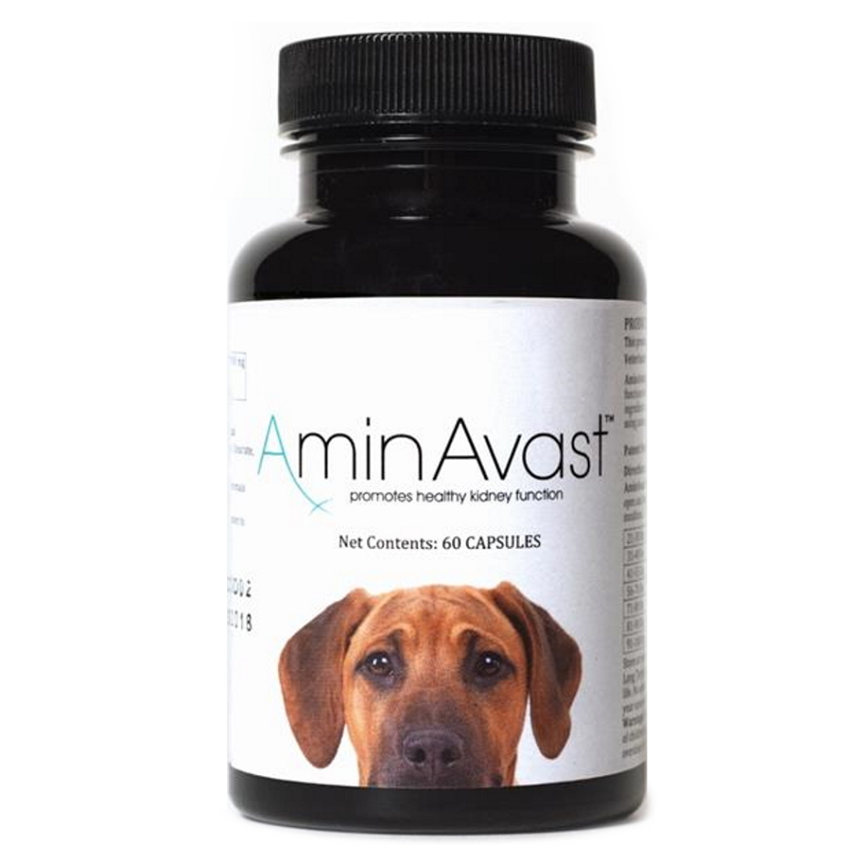 Levně AMINAVAST Dog pro správnou funkci ledvin u psů 60 kapslí