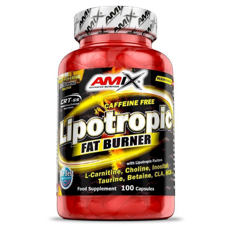 Levně AMIX Lipotropic fat burner 100 kapslí