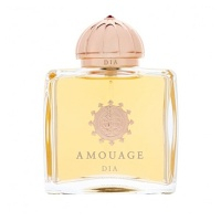 AMOUAGE Dia pour Femme Parfémovaná voda pro ženy 100 ml