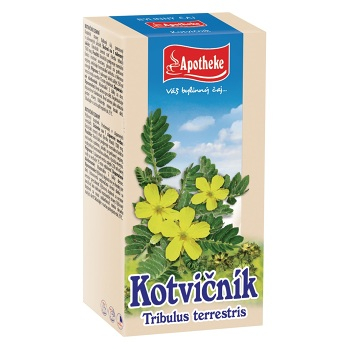 APOTHEKE Kotvičník zemní 20x1.5g (Bylinné čaje) - Jednodruhové, Bylinné