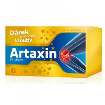 Artaxin 60 x 625 mg