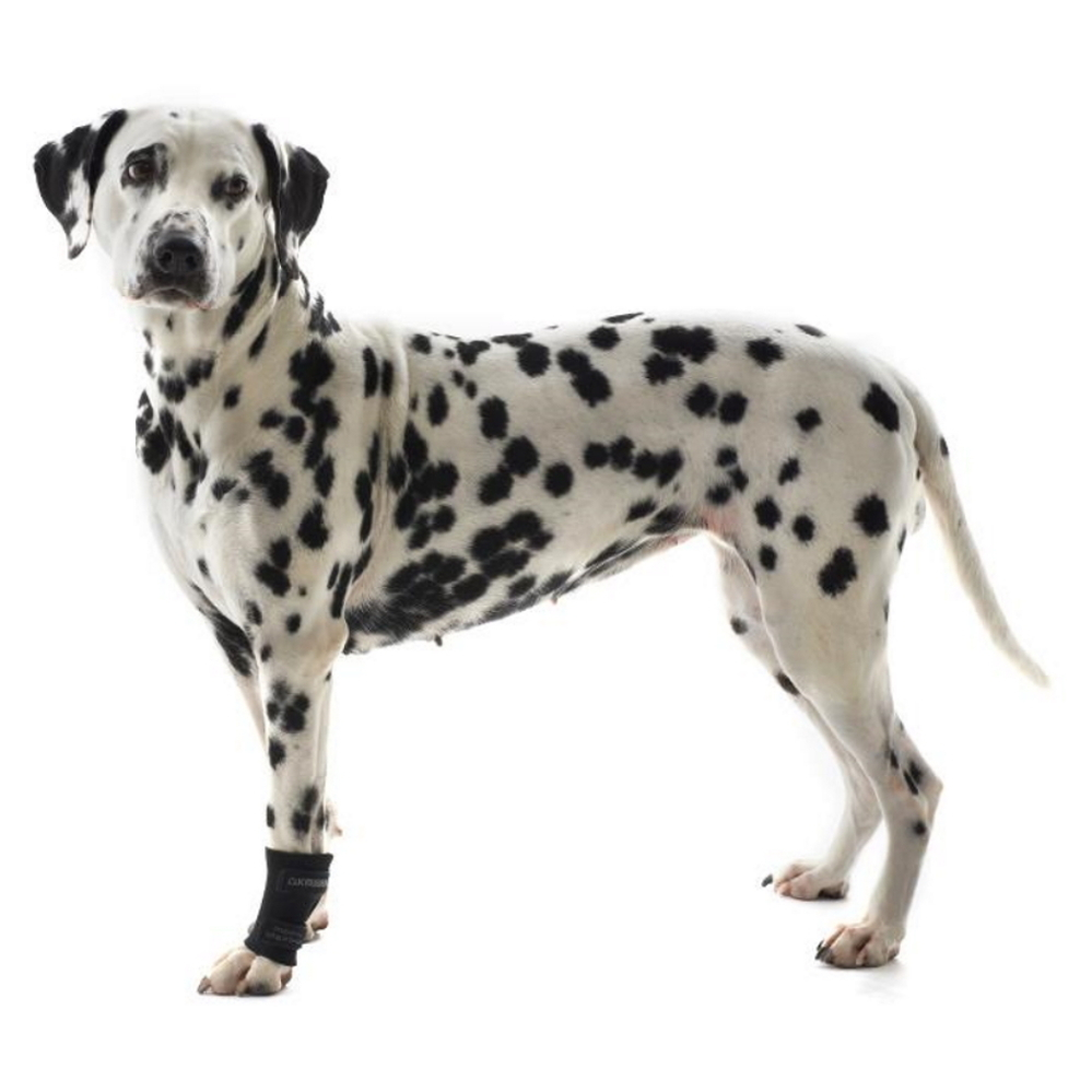 E-shop KRUUSE Rehab karpální bandáž pro psa 1 ks, Velikost: XS