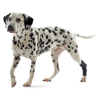 KRUUSE Rehab bandáž na hlezno pro psa 1 ks, Velikost: XL