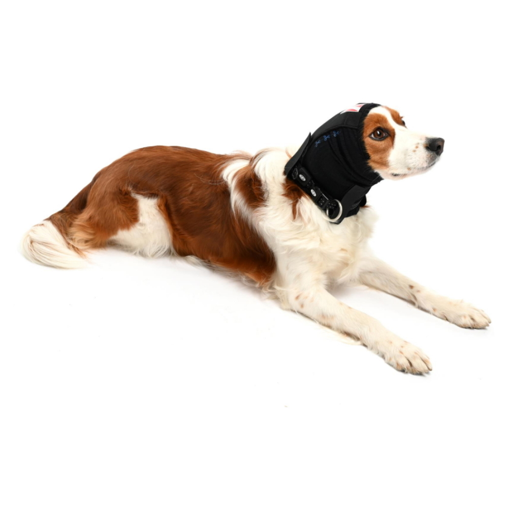E-shop BUSTER Bandáž uší a hlavy pro psa 1 ks, Velikost: XS