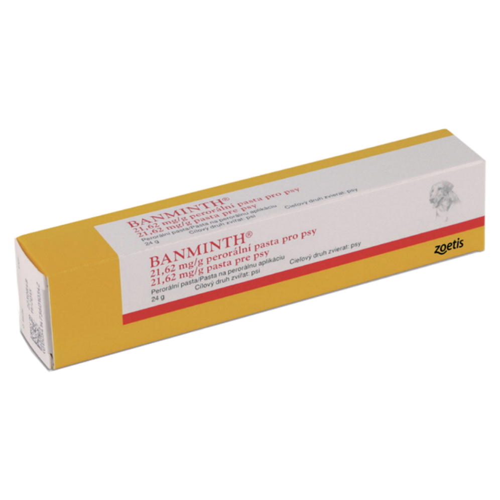 Levně BANMINTH 21,62 mg/g perorální pasta pro psy 24 g