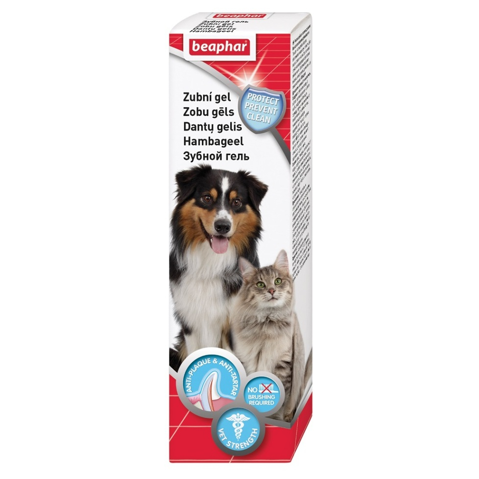 Levně BEAPHAR Zubní gel pro psy a kočky 100 g