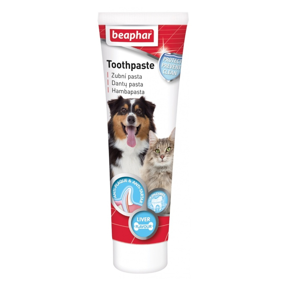 Levně BEAPHAR Zubní pasta pro psy a kočky 100 g