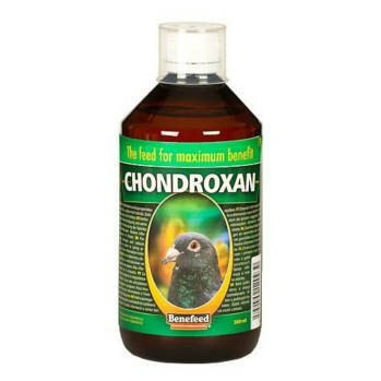 BENEFEED Chondroxan pro holuby 500 ml