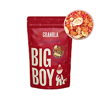 BIG BOY Proteinová granola s bílou čokoládou a ovocem 360 g