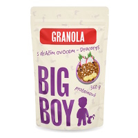 BIG BOY Proteinová granola s dračím ovocem 360 g