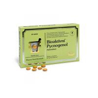 PHARMA NORD Bioaktivní pycnogenol 90 tablet