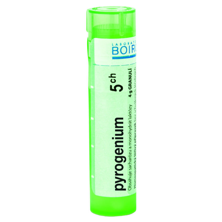 E-shop BOIRON Pyrogenium CH5 4 g