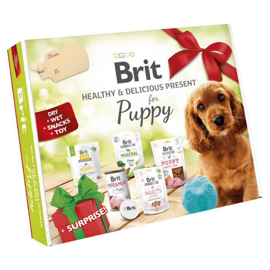 Levně BRIT Care Box Dog Puppy Healthy&Delicious dárkový box pro štěňata 2023