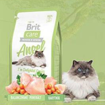 BRIT Care Cat Angel I´m Delighted Senior 400 g