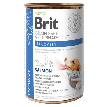 BRIT Veterinary diet grain free recovery pro psy a kočky 400 g