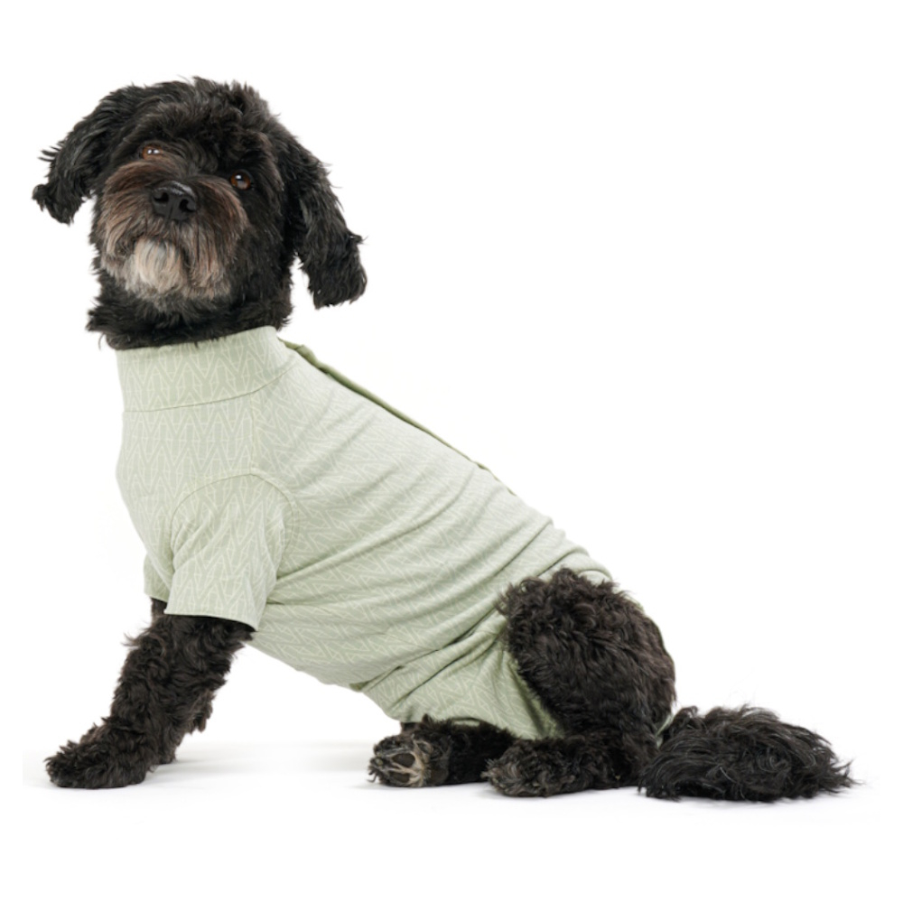E-shop BUSTER Body Suit Step'n Go Dog Obleček pro psy zelený 1 ks, Velikost: XS
