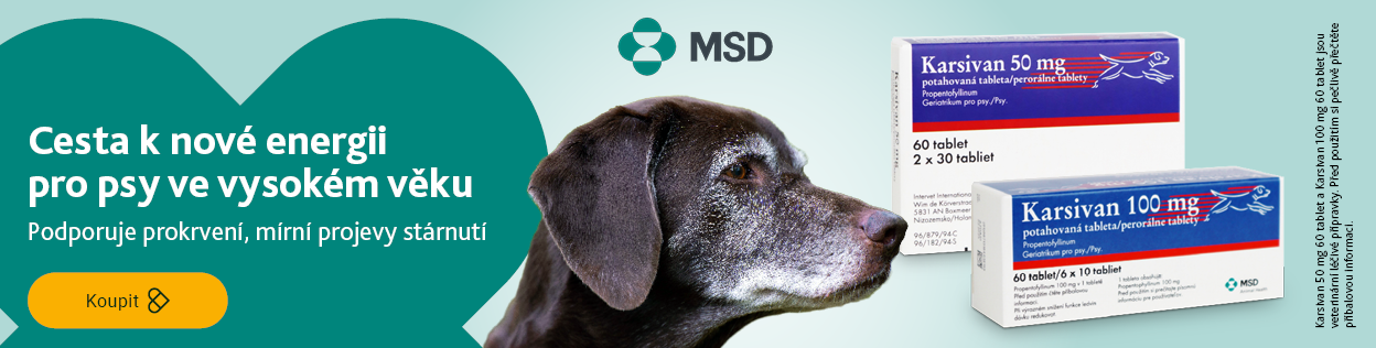 KARSIVAN pro pohodu starších psů