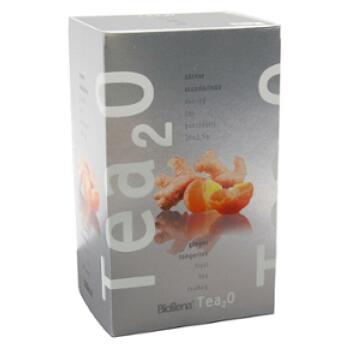 BIOGENA Ovocný čaj Tea2O Zázvor & Mandarinka 20x2,5 g