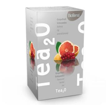BIOGENA Ovocný čaj Tea2O Grep & Schizandra 20x1,7 g