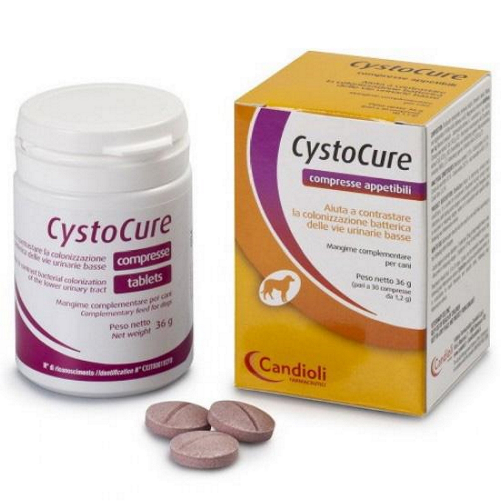 Levně CANDIOLI Cystocure 30 tablet