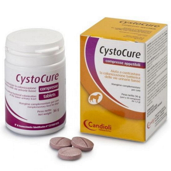 CANDIOLI Cystocure 30 tablet