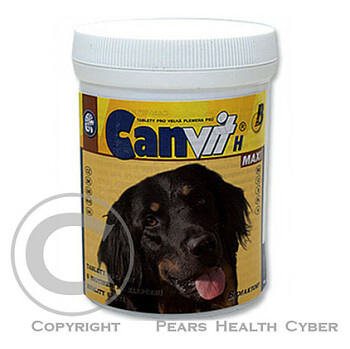 CANVIT H Maxi 250 g (Vitamíny pro zvířata)