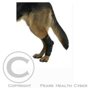 KRUUSE Chránič hlezna pro psa Rehab XL