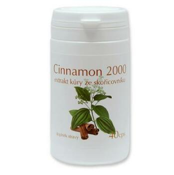 Cinnamon 2000 - 40 kapslí (Doplňky výživy)