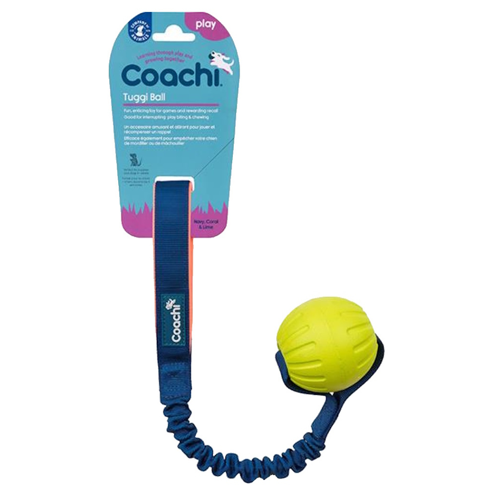 E-shop COACHI Tuggi Ball hračka pro psy míč modro-zelený 1 ks