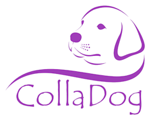 CollaDog