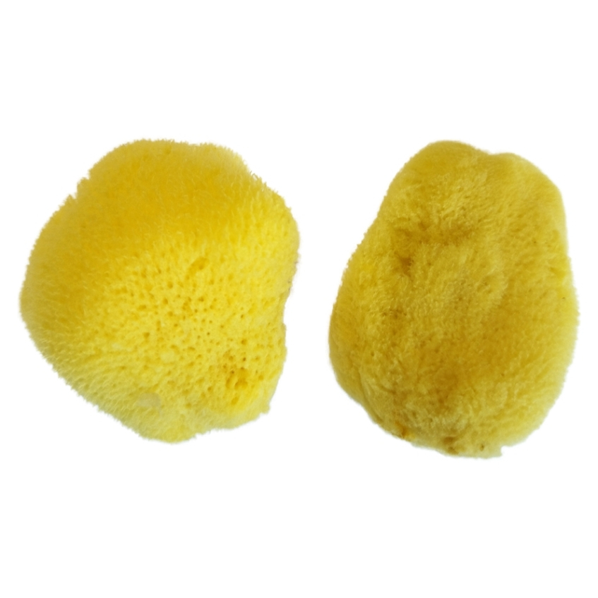 CROLL & DENECKE Menstruační mořská houba velikost 6 cm - 2 kusy ...
