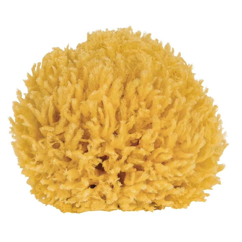 Levně CROLL & DENECKE Přírodní mořská mycí houba 10 cm - 1 kus