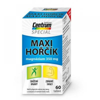 DÁREK CENTRUM Maxi Hořčík Special 60 tablet DÁREK CENTRUM Maxi Hořčík Special 60 tablet