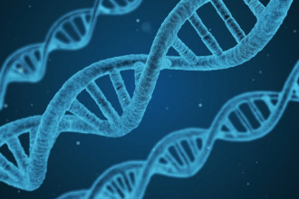 DNA (deoxyribonukleová kyselina) – základ života