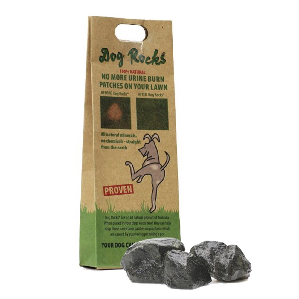 Levně DOG ROCKS vulkanické kameny 0,2kg 2 ks