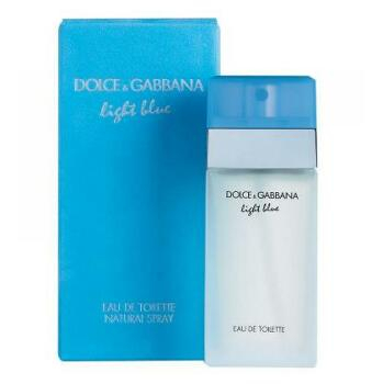 DOLCE & GABBANA Light Blue Toaletní voda 100 ml