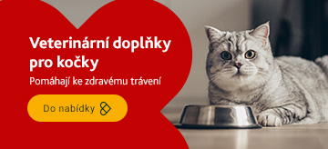 Doplňky stravy na trávení pro kočky