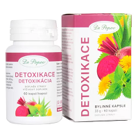 DR.POPOV Bylinné kapsle Detoxikace 60 kapslí