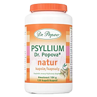 DR.POPOV Psyllium 240 kapslí
